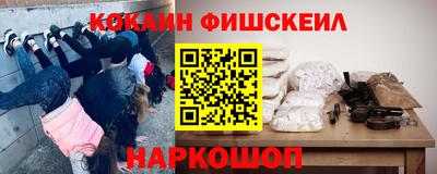 СК Новодвинск