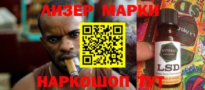 СК Новодвинск