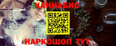 СК Новодвинск