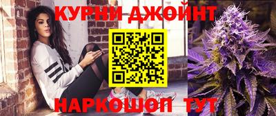 СК Новодвинск