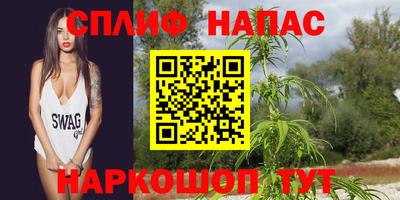 СК Новодвинск
