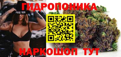 СК Новодвинск