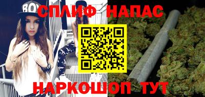 СК Новодвинск