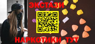 СК Новодвинск