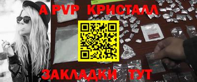 СК Новодвинск