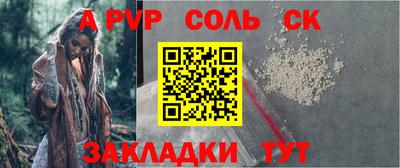 СК Новодвинск